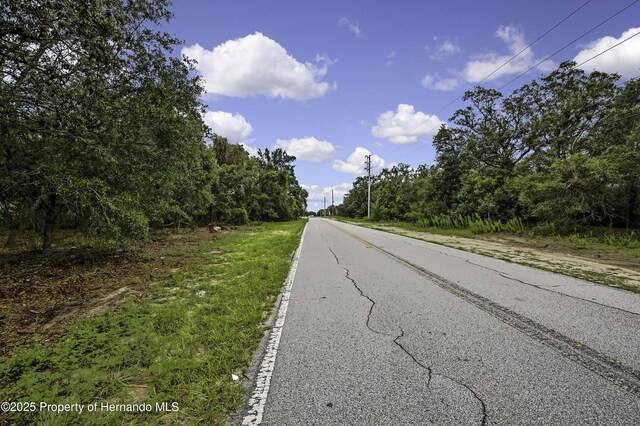 18933 Old Shady Hills Rd, Spring Hill Pasco, FL 34610