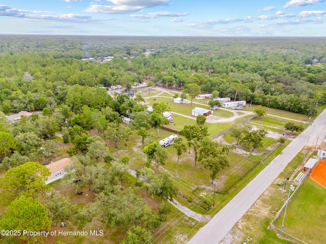 15675 Greenglen Ln, Shady Hills, FL 34610 - photo 22