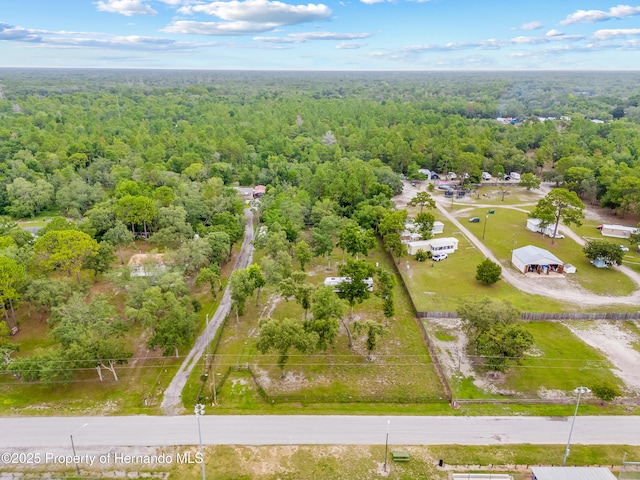 15675 Greenglen Ln, Shady Hills, FL 34610 - photo 24