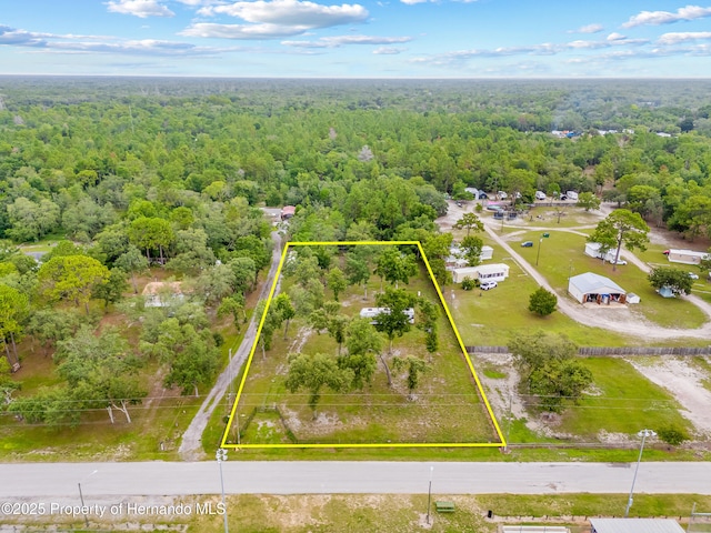 15675 Greenglen Ln, Shady Hills, FL 34610 - photo 26