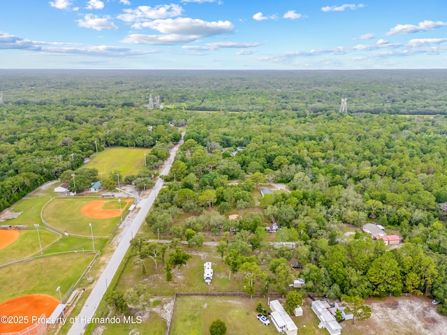 15675 Greenglen Ln, Shady Hills, FL 34610 - photo 32