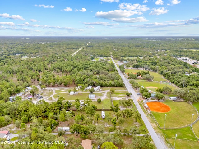 15675 Greenglen Ln, Shady Hills, FL 34610 - photo 36