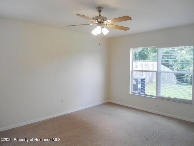 25837 Crippen Dr, Land O Lakes, FL 34639 - photo 7