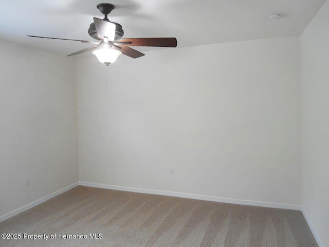 25837 Crippen Dr, Land O Lakes, FL 34639 - photo 11