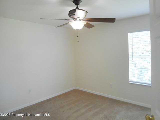 25837 Crippen Dr, Land O Lakes, FL 34639 - photo 12