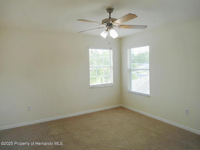 25837 Crippen Dr, Land O Lakes, FL 34639 - photo 14