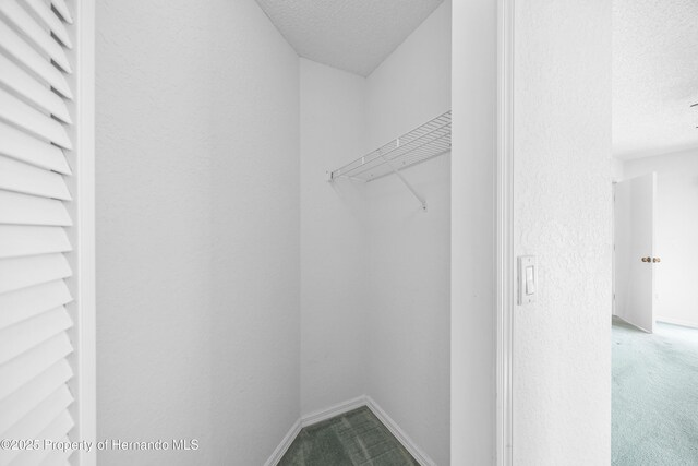 13463 Candia St, Spring Hill, FL 34609 - photo 18