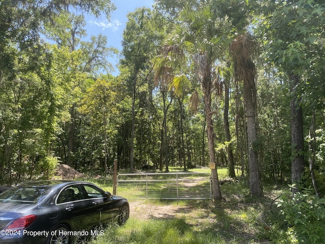 0 Snow Memorial Hwy, Brooksville, FL 34601 - photo 2