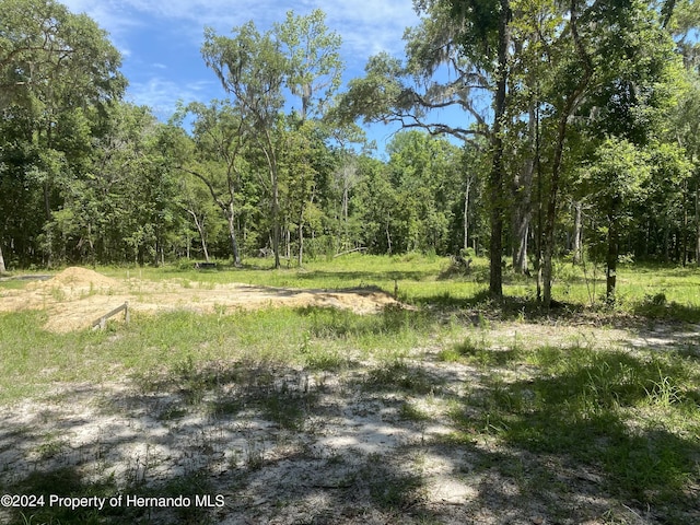 0 Snow Memorial Hwy, Brooksville, FL 34601 - photo 5