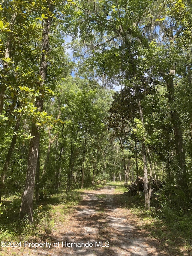0 Snow Memorial Hwy, Brooksville, FL 34601 - photo 6