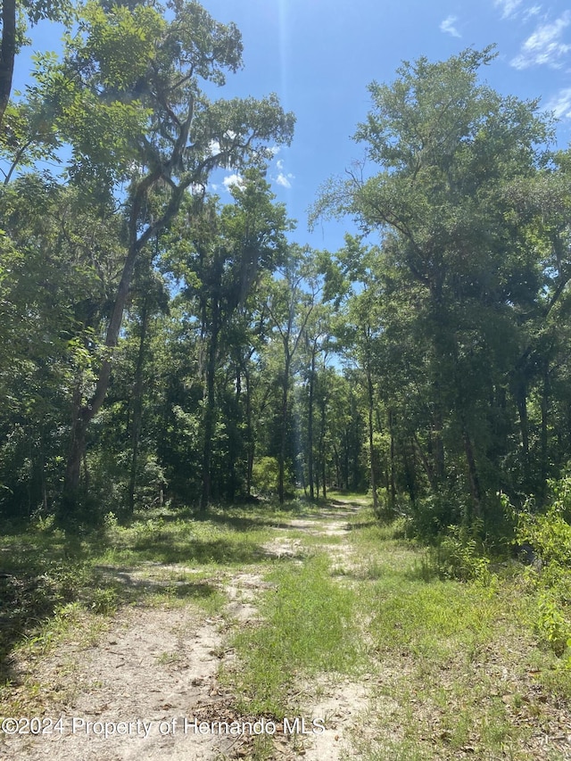 0 Snow Memorial Hwy, Brooksville, FL 34601 - photo 7