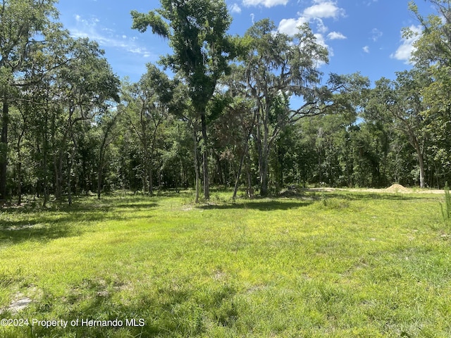 0 Snow Memorial Hwy, Brooksville, FL 34601 - photo 8