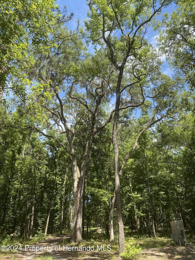 0 Snow Memorial Hwy, Brooksville, FL 34601 - photo 9