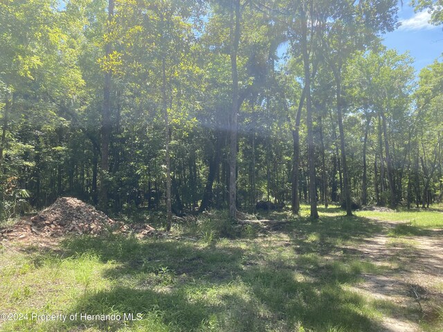 0 Snow Memorial Hwy, Brooksville, FL 34601 - photo 10