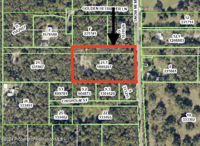 0 Snow Memorial Hwy, Brooksville, FL 34601 - photo 13