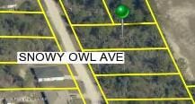 0 Snowy Owl Ave, Weeki Wachee, FL 34614