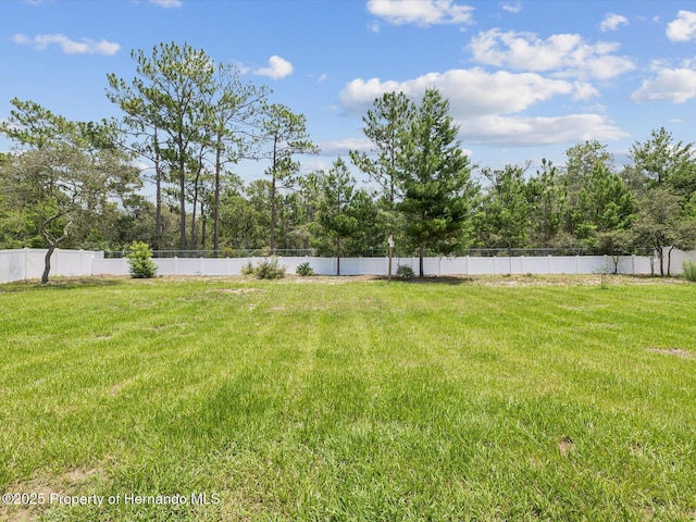 12900 Sigmund St, Spring Hill, FL 34609 - photo 35