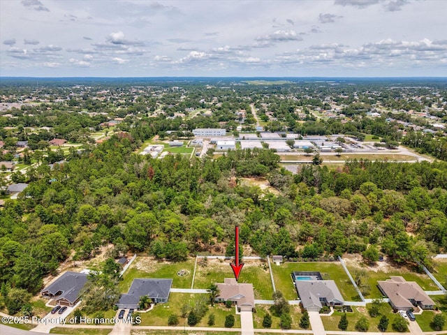 12900 Sigmund St, Spring Hill, FL 34609 - photo 48