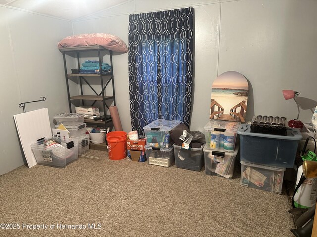 14347 Old Hunter Rd, Brooksville, FL 34601 - photo 13