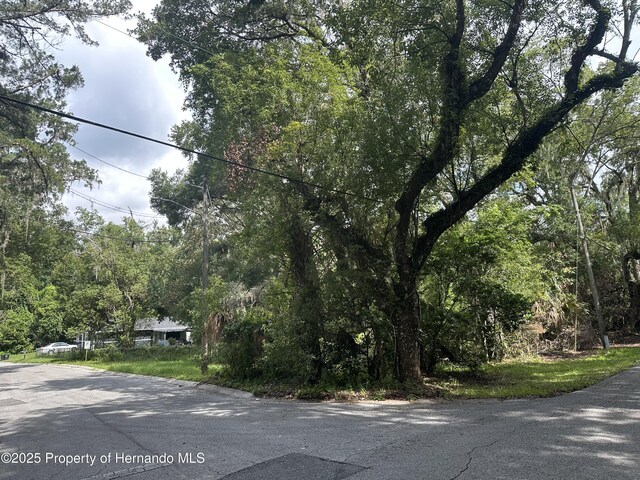 14347 Old Hunter Rd, Brooksville, FL 34601 - photo 16