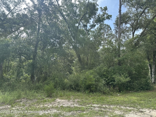 14347 Old Hunter Rd, Brooksville, FL 34601 - photo 17