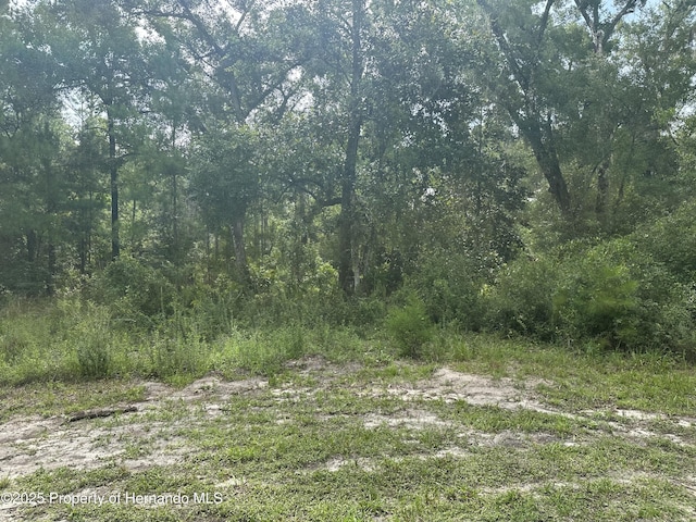 14347 Old Hunter Rd, Brooksville, FL 34601 - photo 18