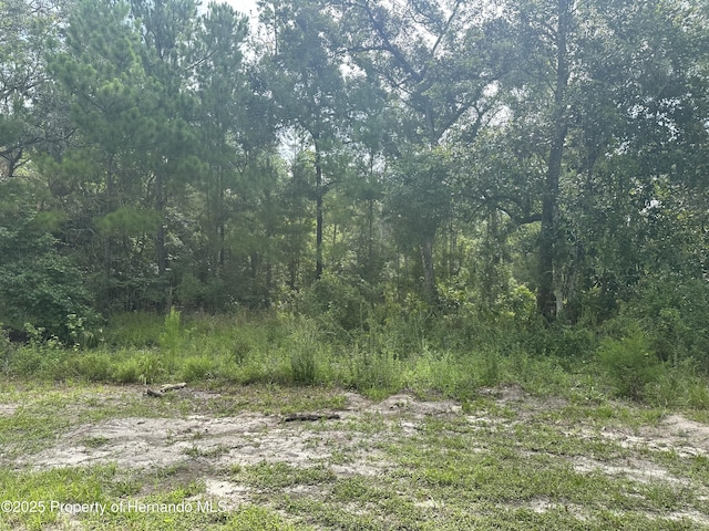 14347 Old Hunter Rd, Brooksville, FL 34601 - photo 19