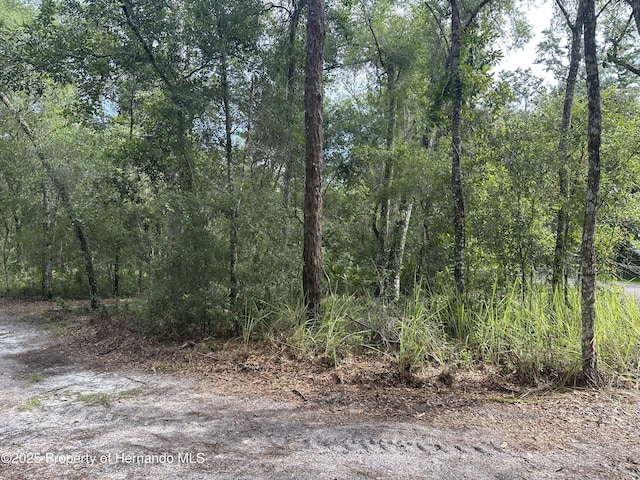 14347 Old Hunter Rd, Brooksville, FL 34601 - photo 20