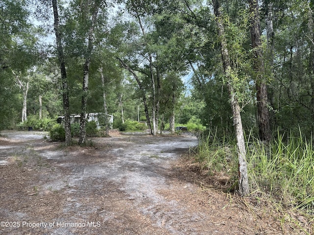 14347 Old Hunter Rd, Brooksville, FL 34601 - photo 21