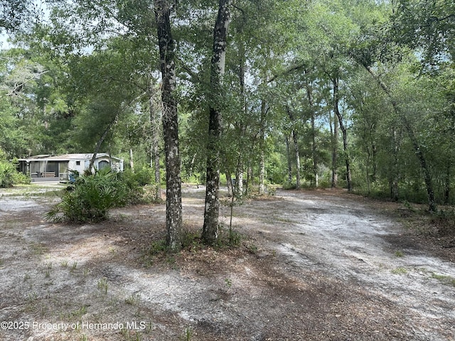 14347 Old Hunter Rd, Brooksville, FL 34601 - photo 23