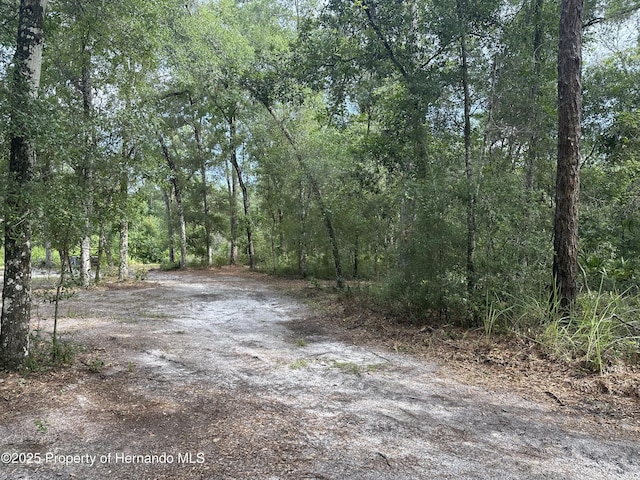 14347 Old Hunter Rd, Brooksville, FL 34601 - photo 24