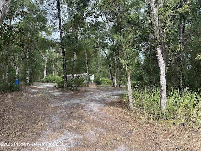 14347 Old Hunter Rd, Brooksville, FL 34601 - photo 25