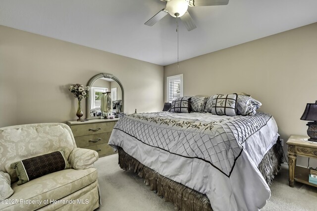 209 Winthrop Dr, Spring Hill, FL 34609 - photo 17