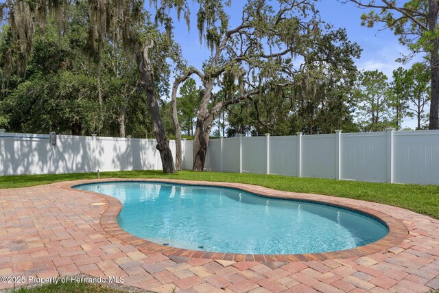 14348 Finsbury Dr, Spring Hill, FL 34609 - photo 47