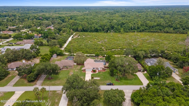 8003 Delaware Dr, Weeki Wachee, FL 34607 - photo 35