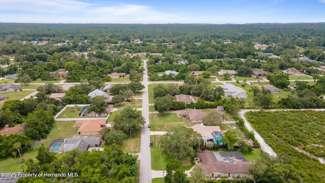8003 Delaware Dr, Weeki Wachee, FL 34607 - photo 40