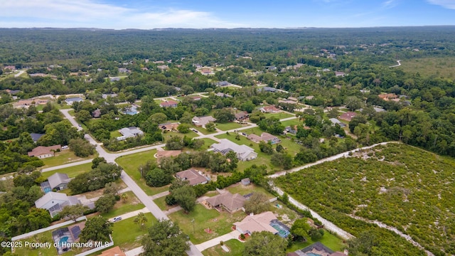 8003 Delaware Dr, Weeki Wachee, FL 34607 - photo 41