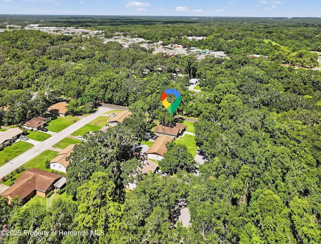 635 Iris St, Brooksville, FL 34601 - photo 34