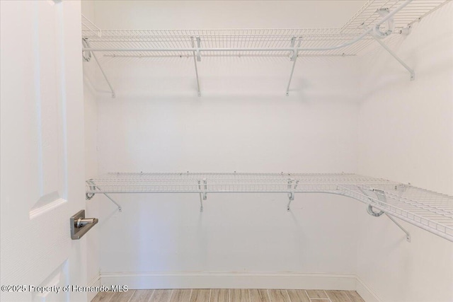 4016 Centavo Ct, Hernando Beach, FL 34607 - walk in closet with light wood-style flooring