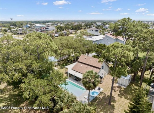 3579 Eagle Nest Dr, Hernando Beach, FL 34607 - bird's eye view of a pool