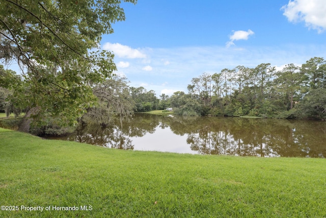 8018 Wild Flower Row, Hudson, FL 34667 - photo 29