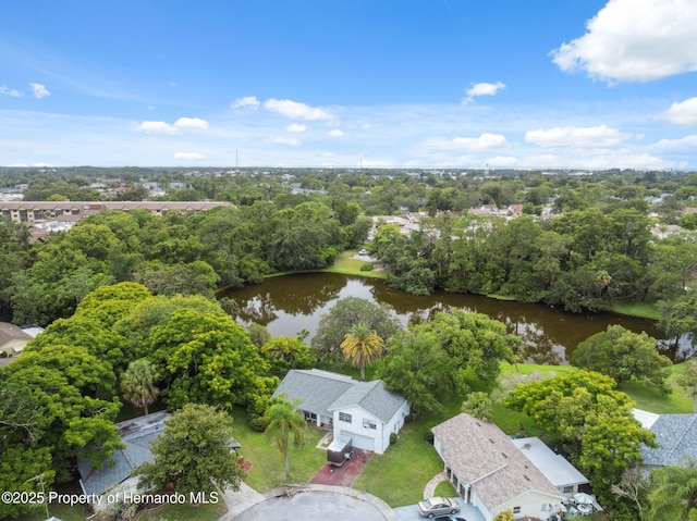 8018 Wild Flower Row, Hudson, FL 34667 - photo 33