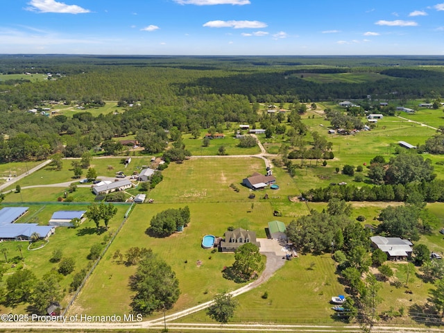 28297 Wild Rose Ln, Brooksville, FL 34602 - photo 42