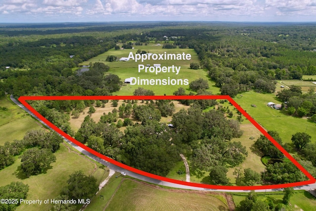 2740 Saturn Rd, Brooksville, FL 34604 - photo 3