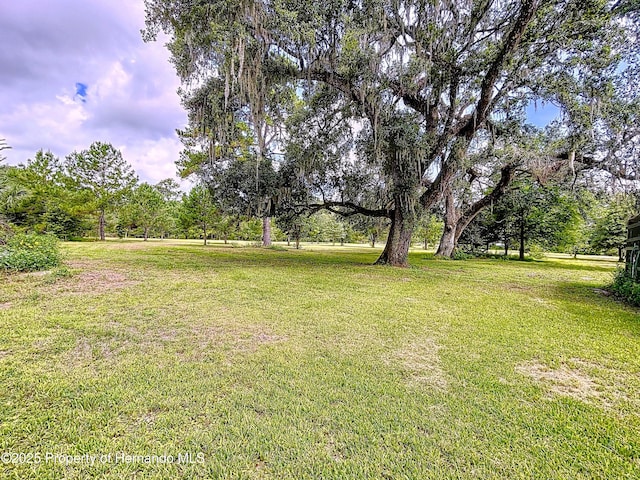 2740 Saturn Rd, Brooksville, FL 34604 - photo 8