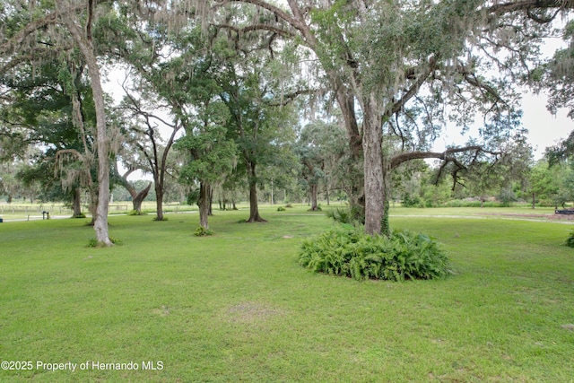 2740 Saturn Rd, Brooksville, FL 34604 - photo 15