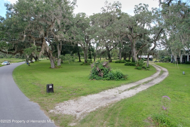 2740 Saturn Rd, Brooksville, FL 34604 - photo 51