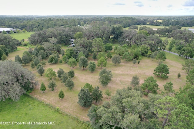 2740 Saturn Rd, Brooksville, FL 34604 - photo 53