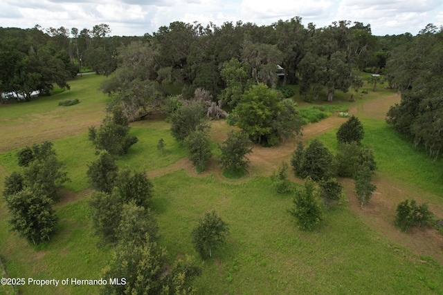 2740 Saturn Rd, Brooksville, FL 34604 - photo 55