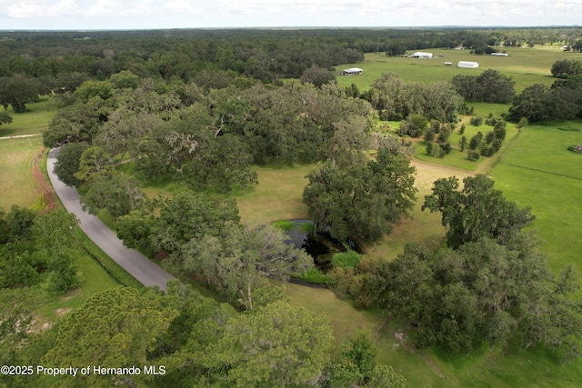 2740 Saturn Rd, Brooksville, FL 34604 - photo 57